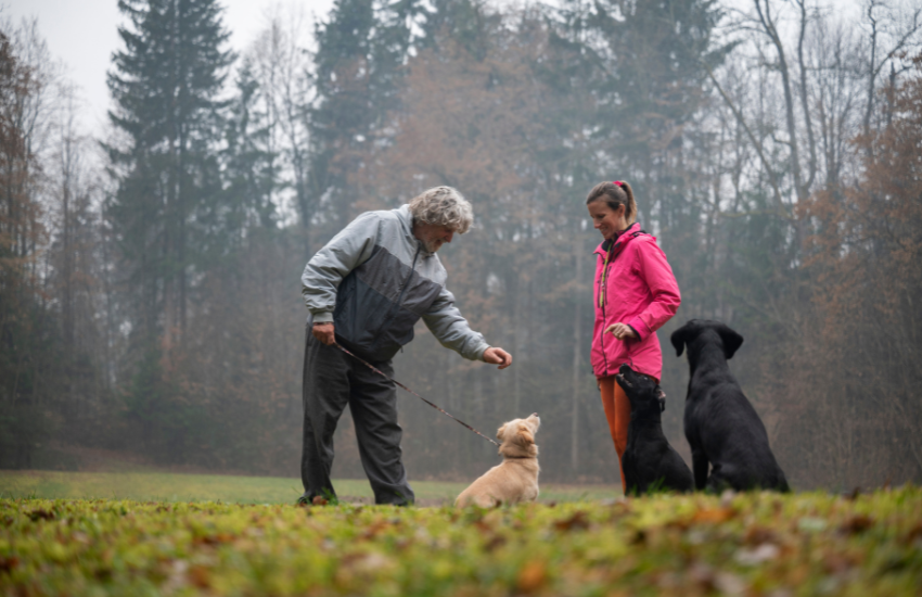 Training Tails: Teaching Your Dog to Drink from a Portable Water Bottle